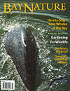 Bay Nature